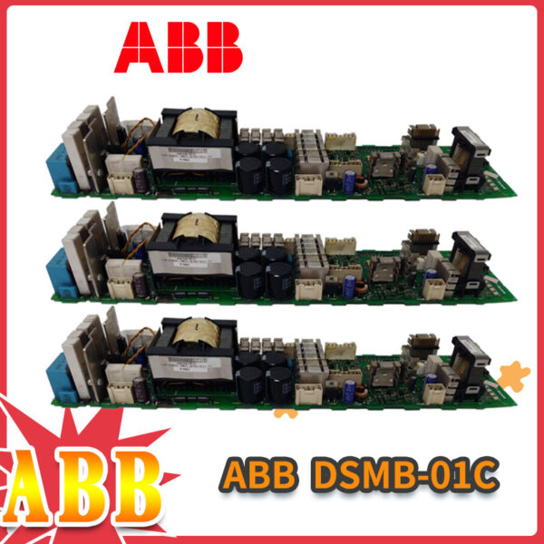 DSMB-01C